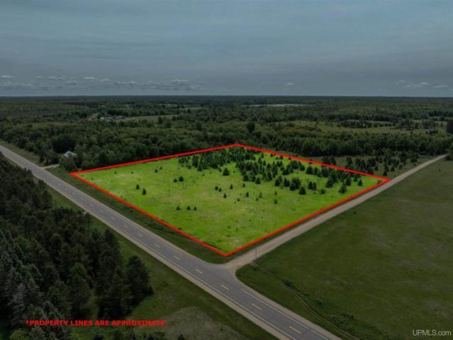 Land for sale in Skandia, Michigan