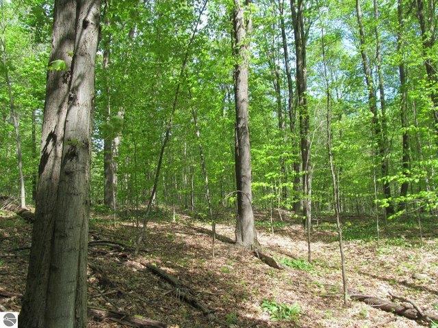 Land for sale in Tustin, Michigan