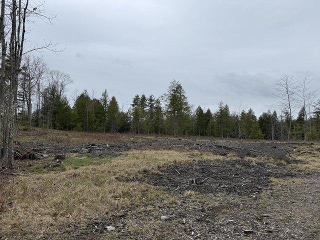 Land for sale in East Waterboro, Maine