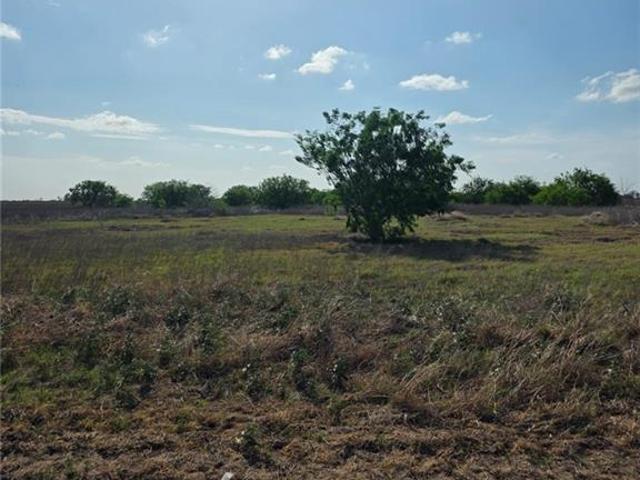 Land for sale in Hidalgo, Texas