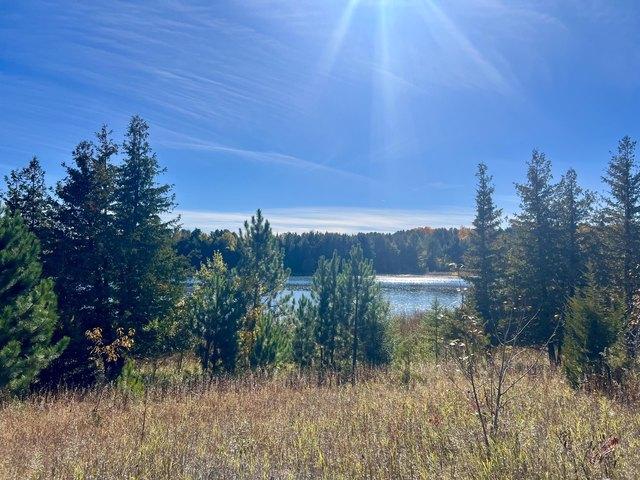 Land for sale in Atlanta, Michigan