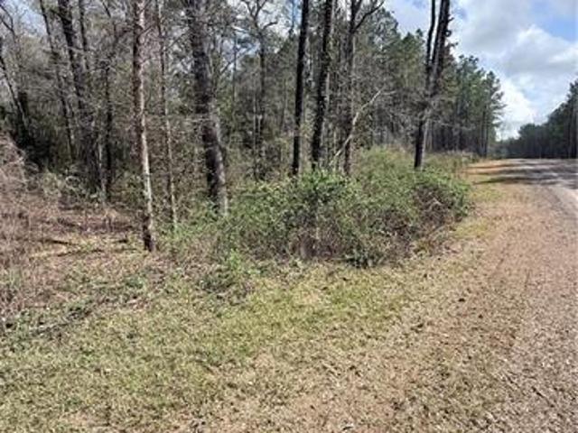 Land for sale in Louisiana
