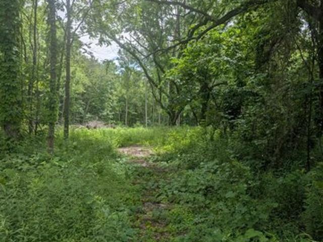 Land for sale in Bangor, Michigan