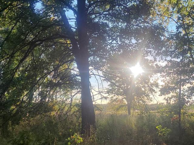 Land for sale in Pickford, Michigan