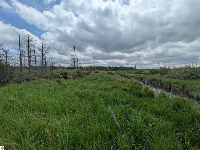 Land for sale in Pickford, Michigan