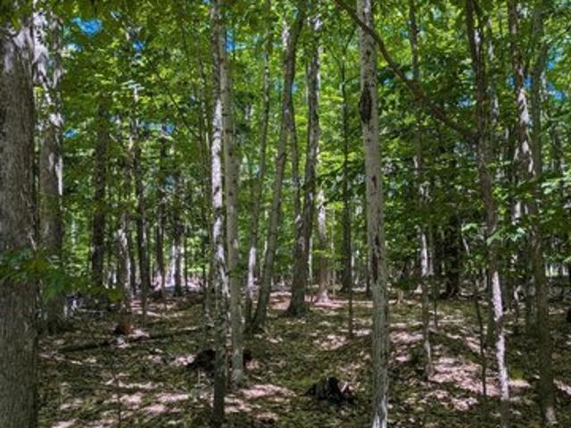 Land for sale in Pickford, Michigan