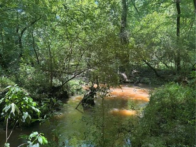 Land for sale in Franklinton, Louisiana