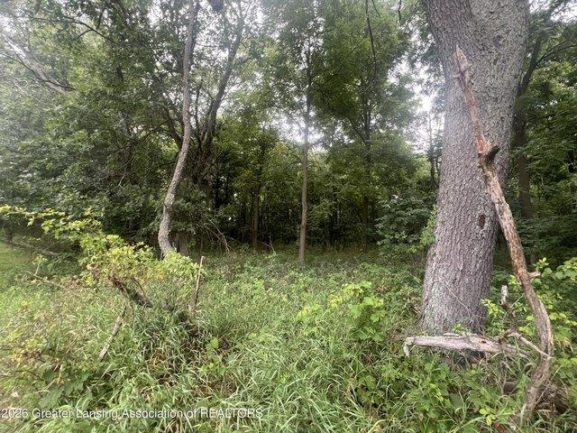 Land for sale in Eaton, Michigan