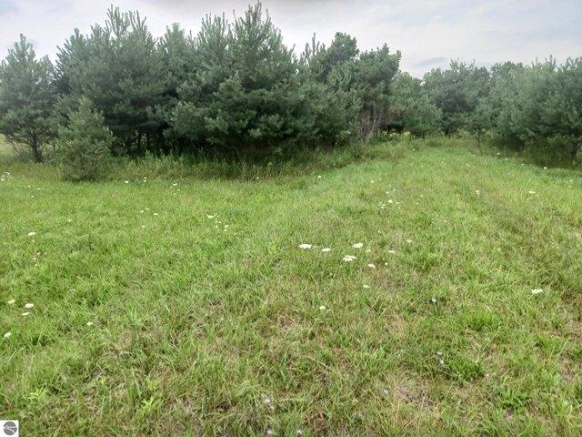 Land for sale in Prescott, Michigan