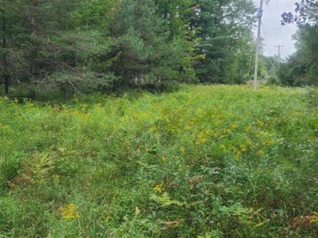 Land for sale in Whittemore, Michigan