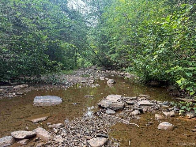 Land for sale in Ontonagon, Michigan