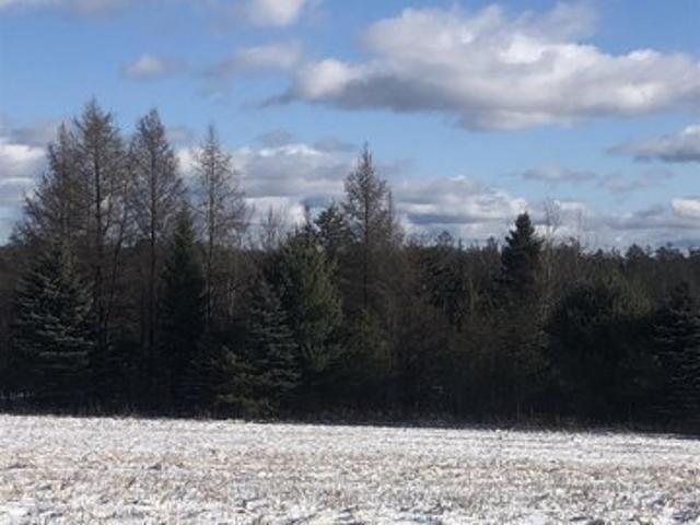 Land for sale in Kalkaska, Michigan