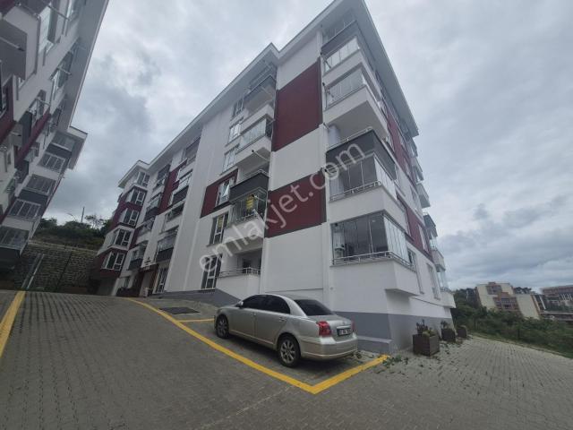 Trabzon içerisinde kiralık mülk