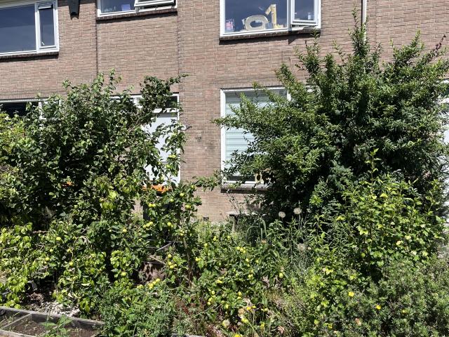 Woning te huur in Zeeland