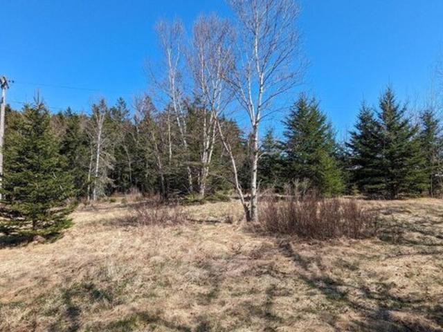 Land for sale in Eastport, Maine
