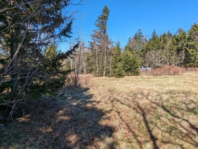 Land for sale in Eastport, Maine