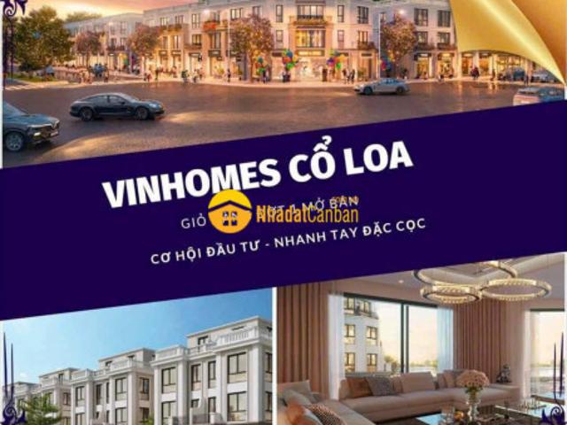 Biệt Thự bán