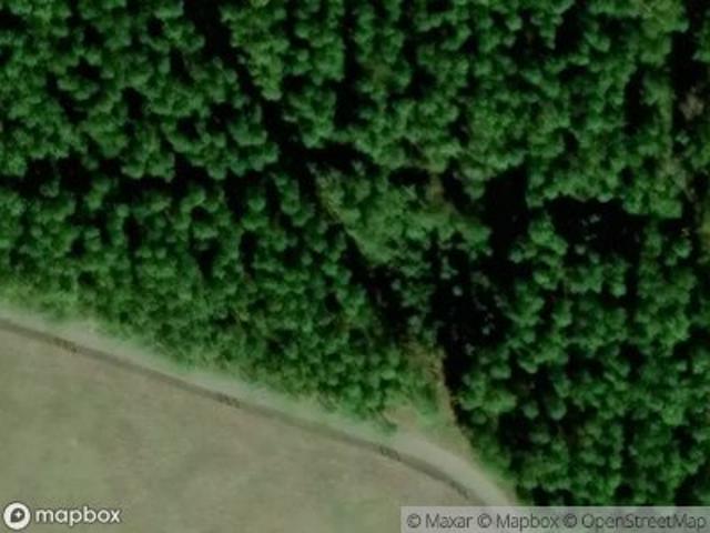Land for sale in Elmer, Louisiana