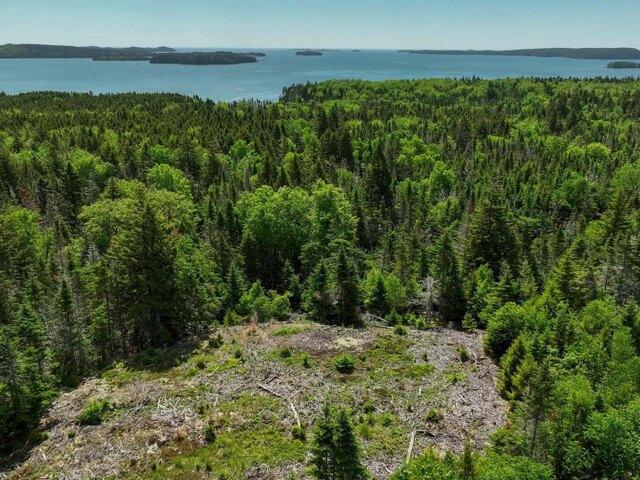 Land for sale in Maine