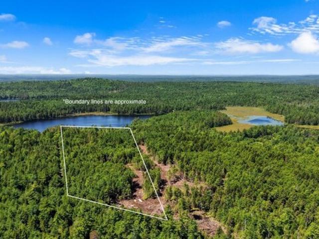 Land for sale in Maine
