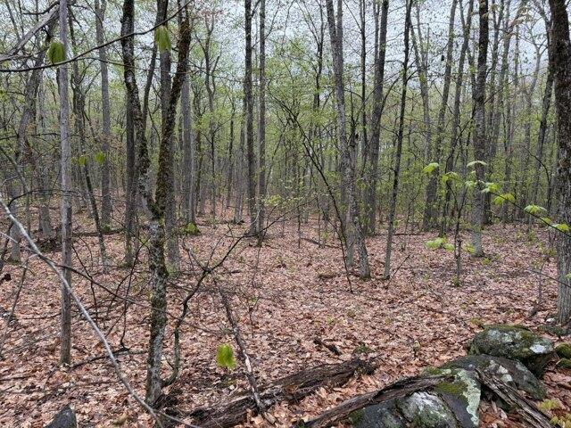 Land for sale in Acton, Maine