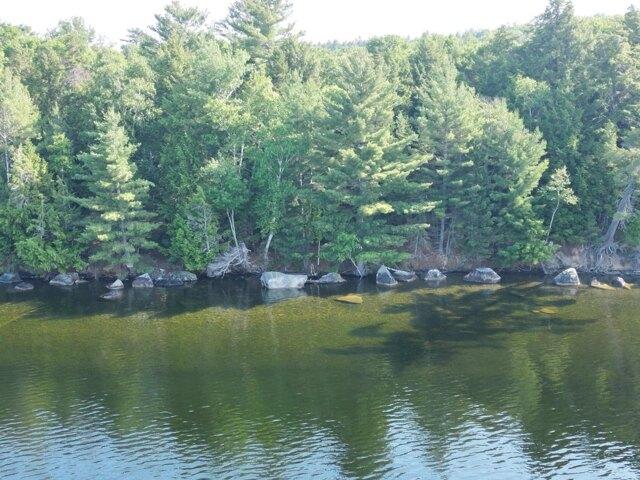 Land for sale in Maine