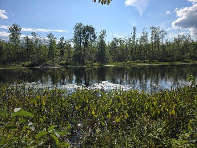 Land for sale in Cass Corner, Cornville