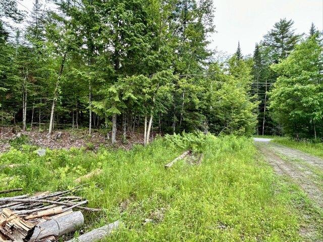 Land for sale in Hartland, Maine