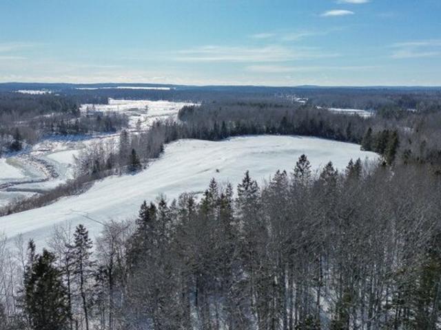 Land for sale in Harrington, Maine
