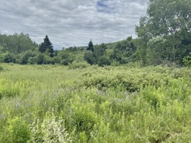 Land for sale in Perham, Maine