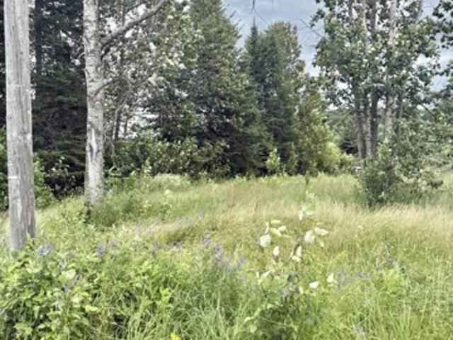 Land for sale in Perham, Maine