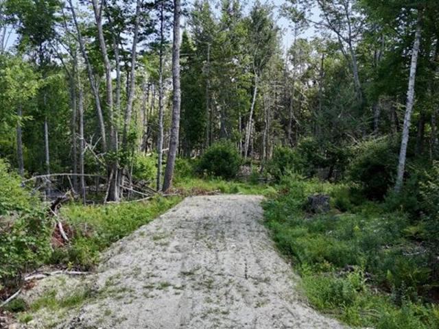 Land for sale in Brooklin, Hancock County