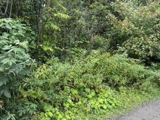 Land for sale in Madawaska, Aroostook County