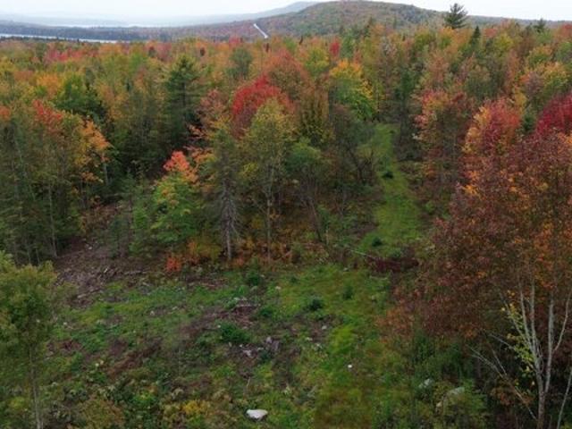 Land for sale in Orient, Aroostook County