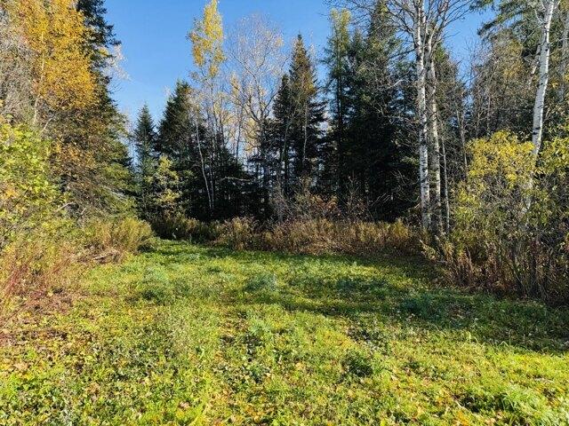Land for sale in Mapleton, Maine