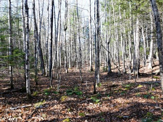 Land for sale in Maine