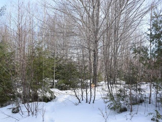 Land for sale in Maine