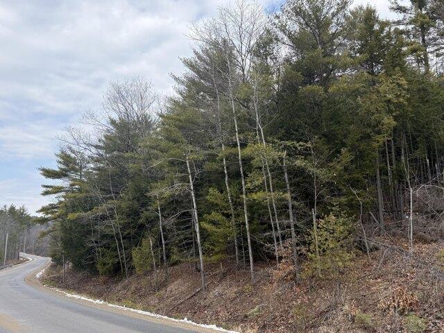 Land for sale in Newfield, Maine