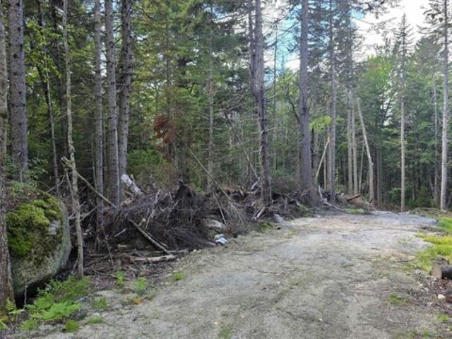 Land for sale in New Hampshire