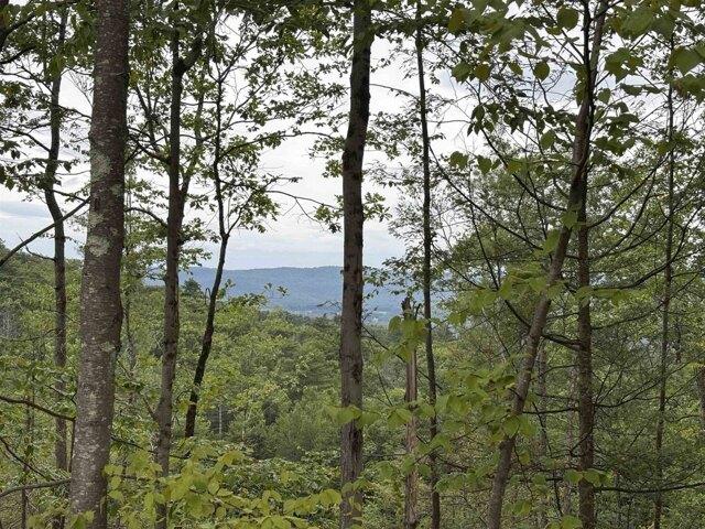 Land for sale in New Hampshire