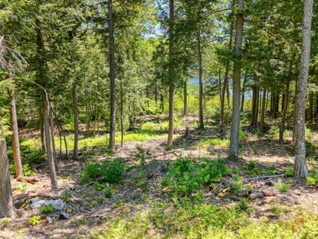 Land for sale in Winthrop