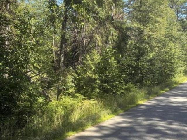 Land for sale in Calais, Maine