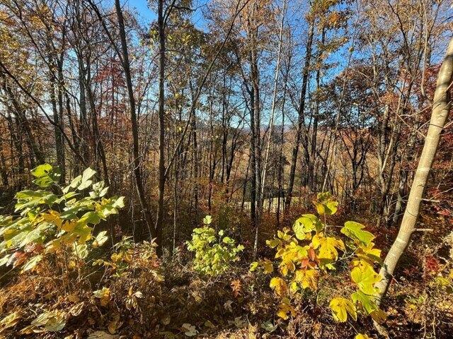 Land for sale in Hayesville