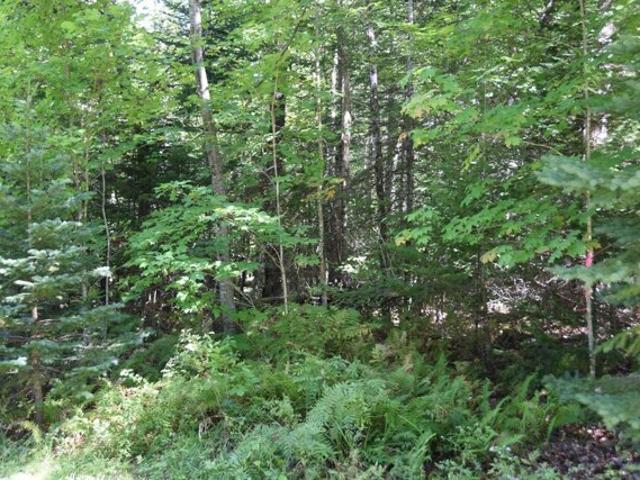 Land for sale in Corsons Corner, Athens