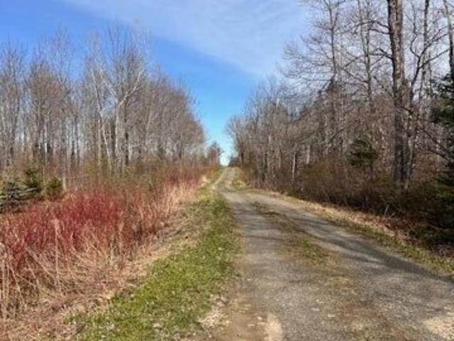 Land for sale in Houlton, Maine