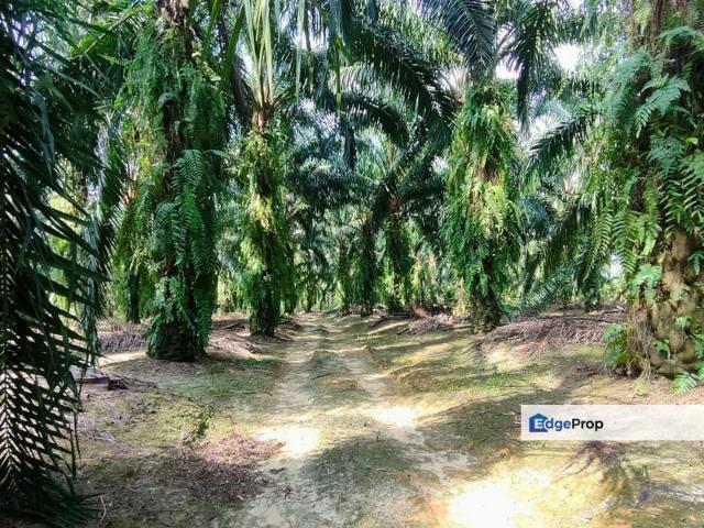 Shop for sale in Selayang, Selangor