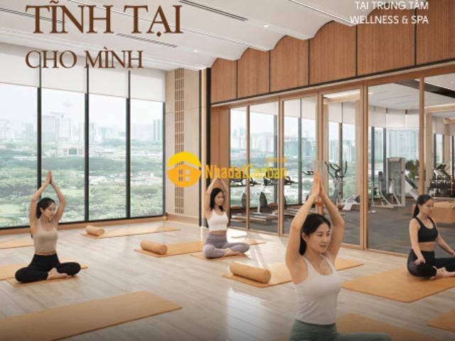 Căn hộ bán