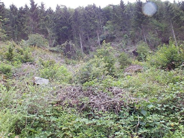 Zaferli, Maçka içerisinde satılık Arsa