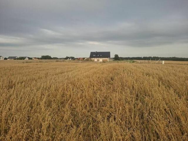 Grunt na sprzedaż w Żukowo, Pomorskie