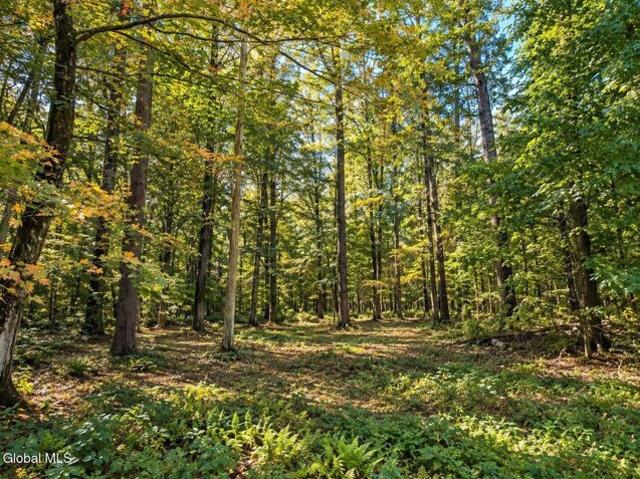 Land for sale in Richmond, West Stockbridge